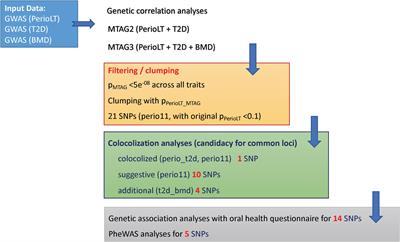 Candidate loci shared among periodontal disease, diabetes and bone density